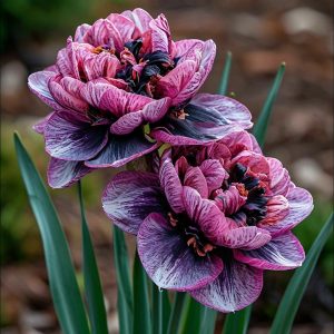 Нарцисс Моргатн Мотив купить по цене от 2000р. в интернет-магазине «Посадика» с доставкой почтой в в Кировграде и по всей России – [изображение №1].